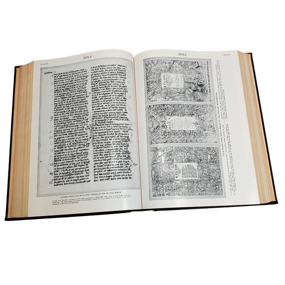 1959 Edition Encyclopedia Britannica Vtg HC Volume 3 BALTIM to BRAIL Educational - Picture 11 of 13